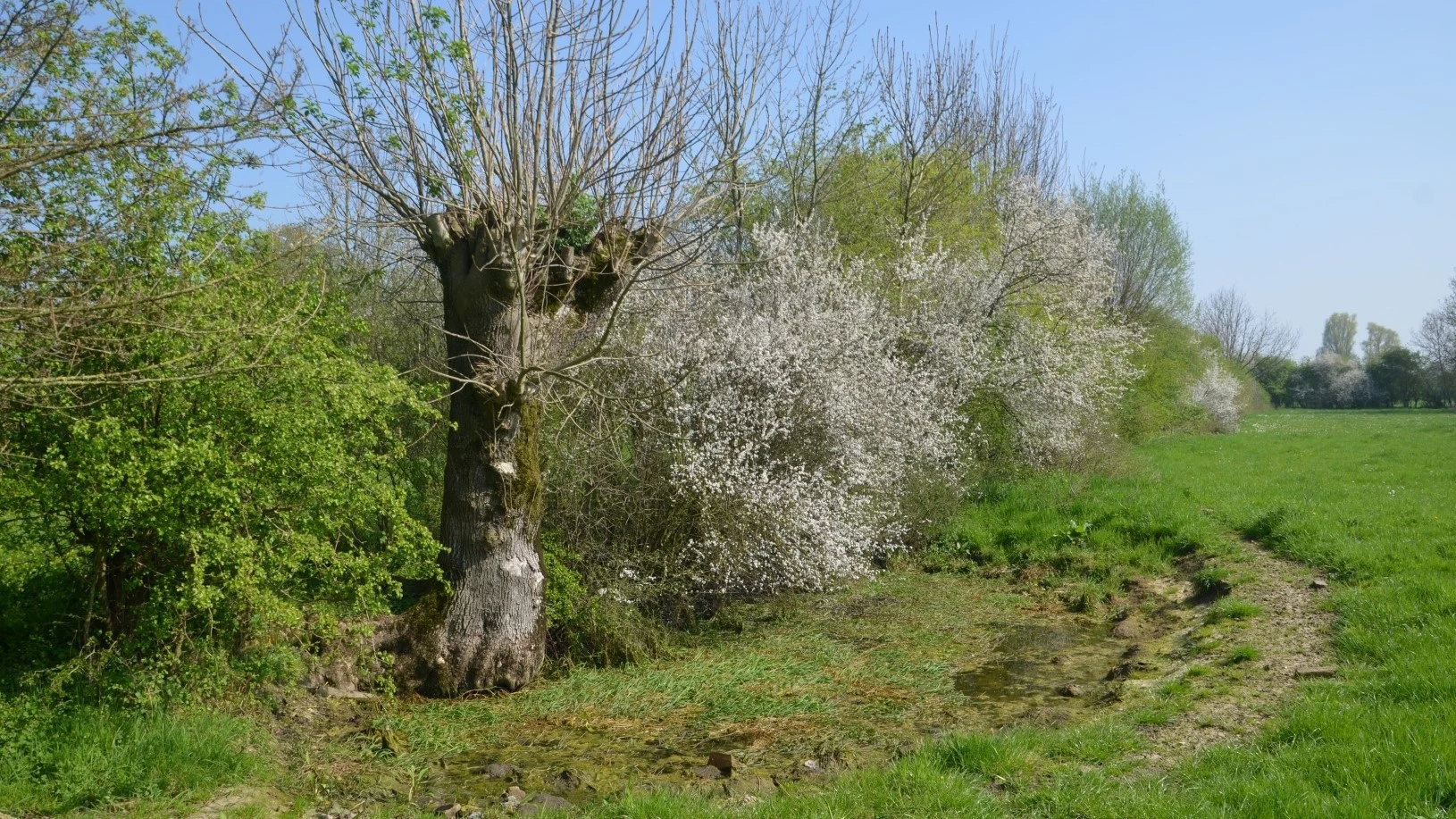 Kaartweergave in BOOMapp